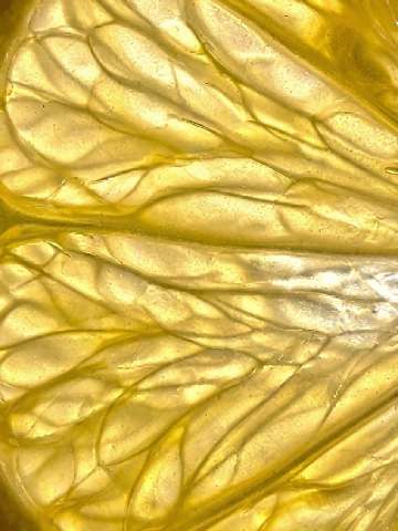 Vitamin C Derivative